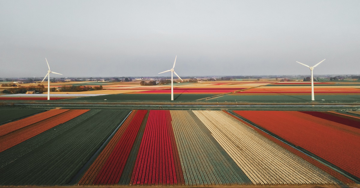 Netherlands renewables wind turbine